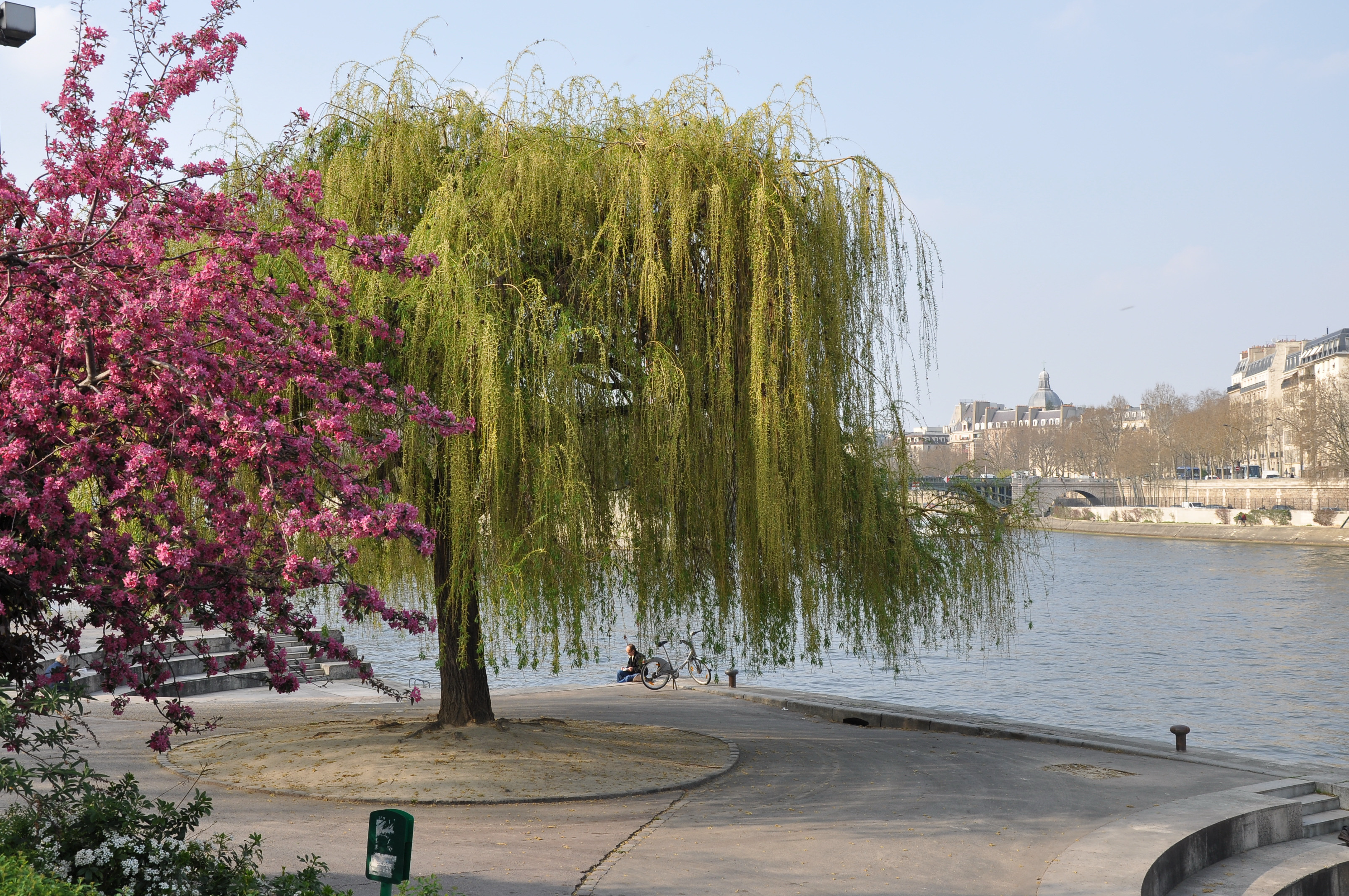 Musée de la Sculpture en plein air