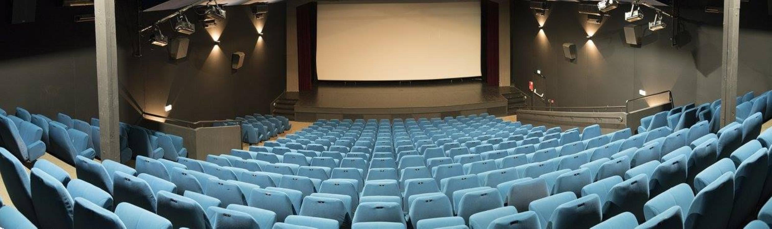 Cinéma des Variétés Zinema