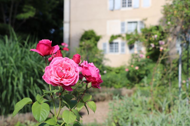 Maison de George Sand et parc