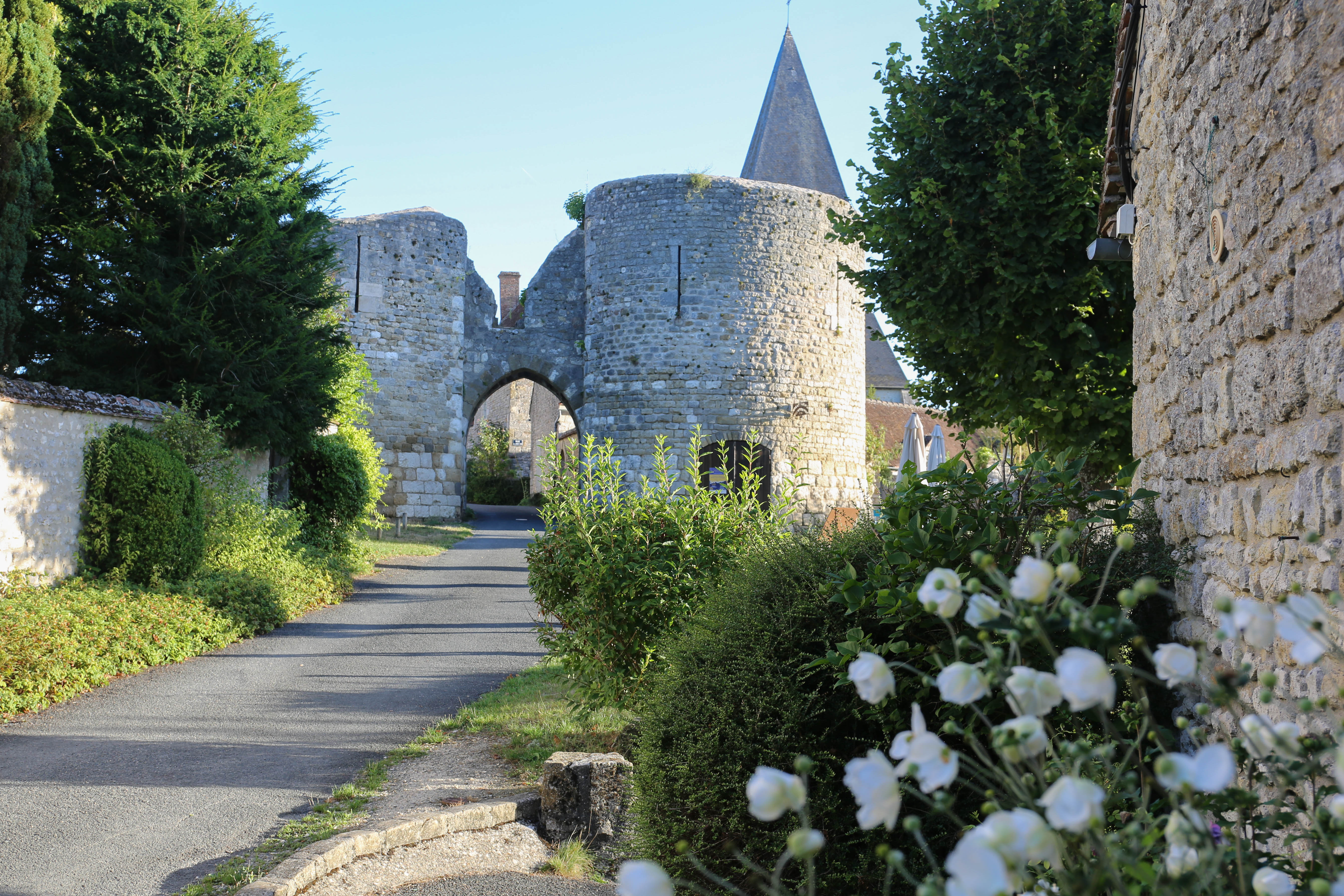 Forteresse médiévale de Yèvre-le-Châtel
