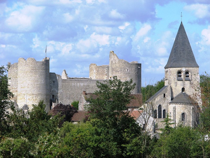 Forteresse médiévale de Yèvre-le-Châtel