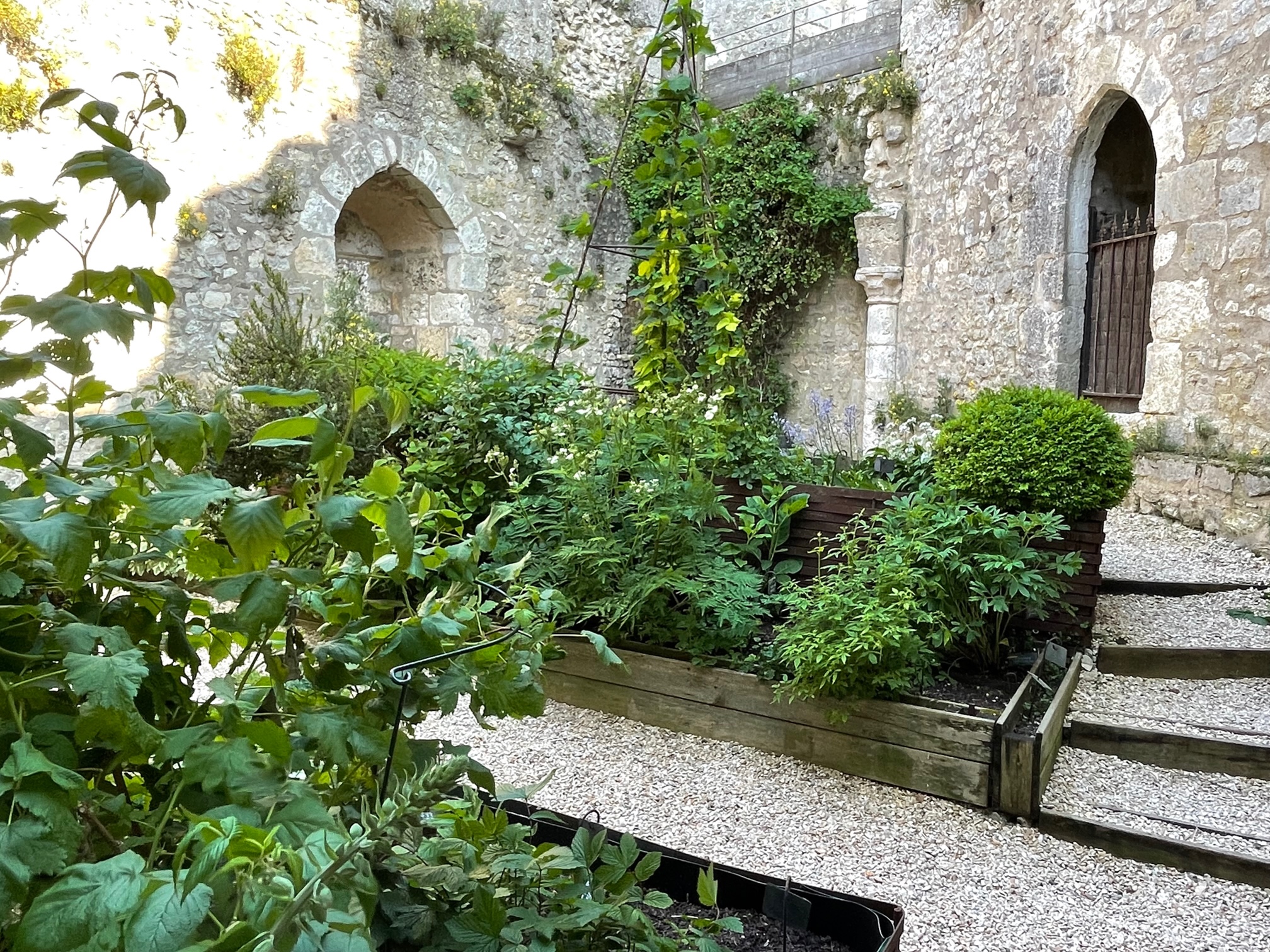 Forteresse médiévale de Yèvre-le-Châtel