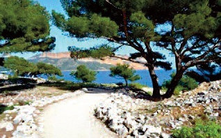 Presqu'île de Port-Miou/ Sentier du Petit Prince