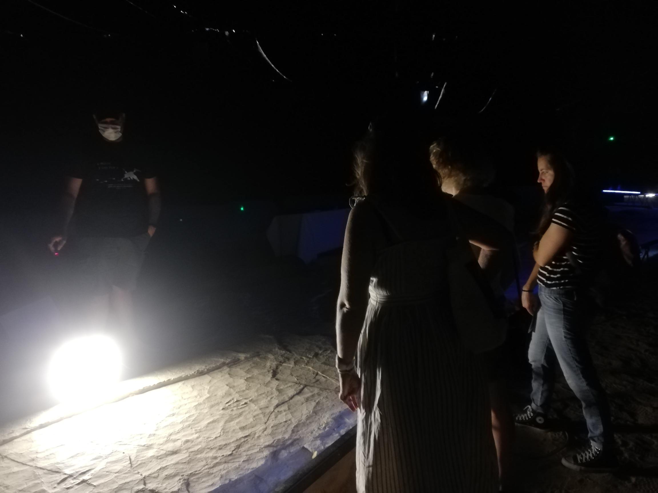 La Plage aux Ptérosaures