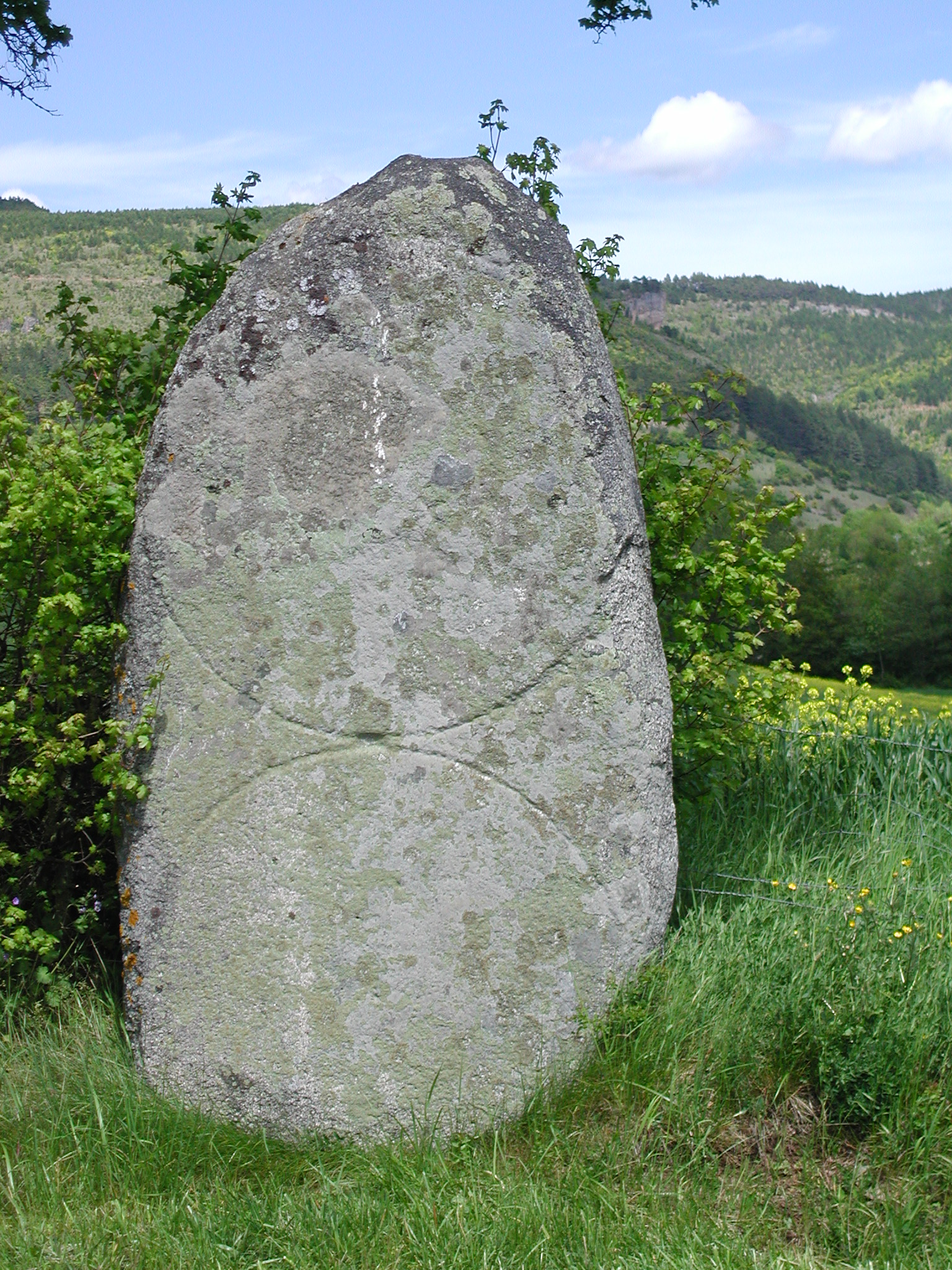 MENHIR DU BOY