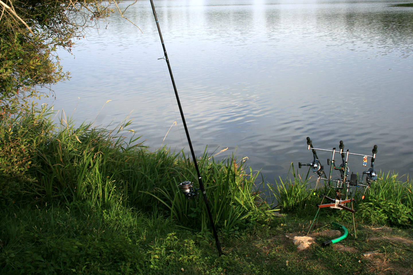 Pêche à l'étang de la Grande Cazine