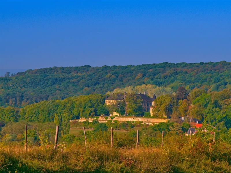 Château de Hombourg-Budange