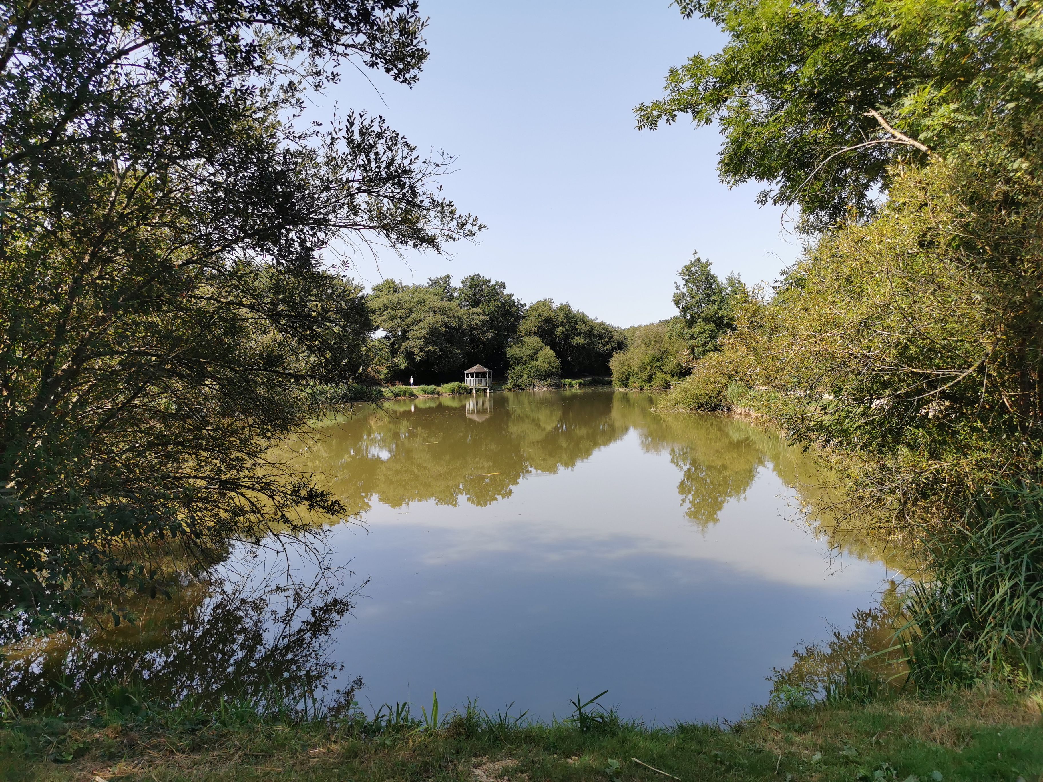 Etang de pêche communal de Nieuil