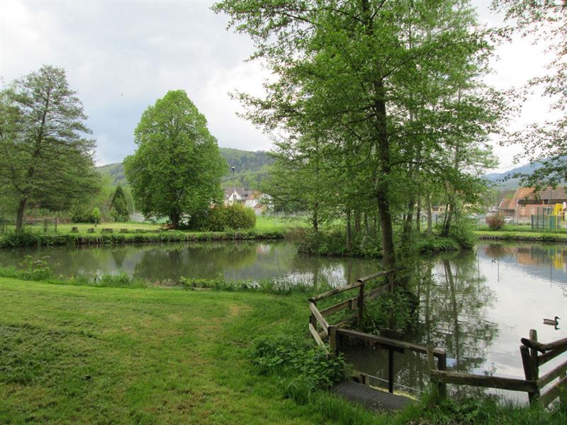 Etang de pêche de Villé