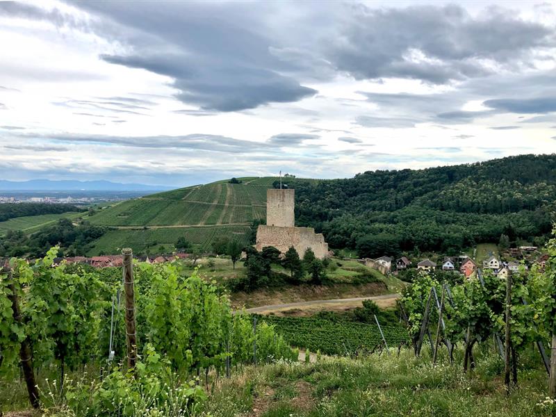 Le château du Wineck