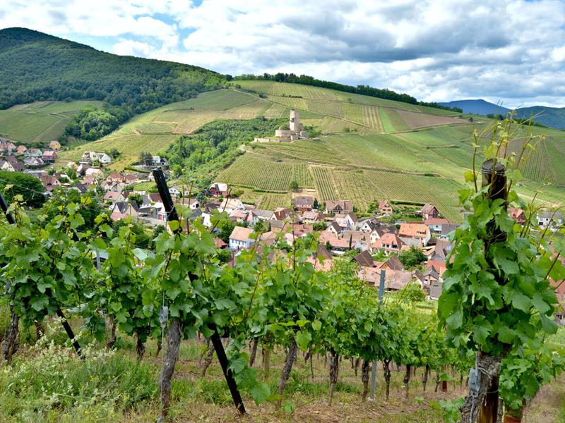 Le château du Wineck