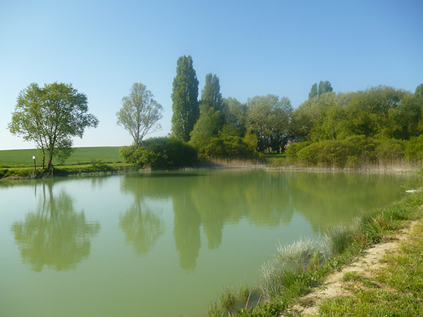 Étang de pêche de Savigny
