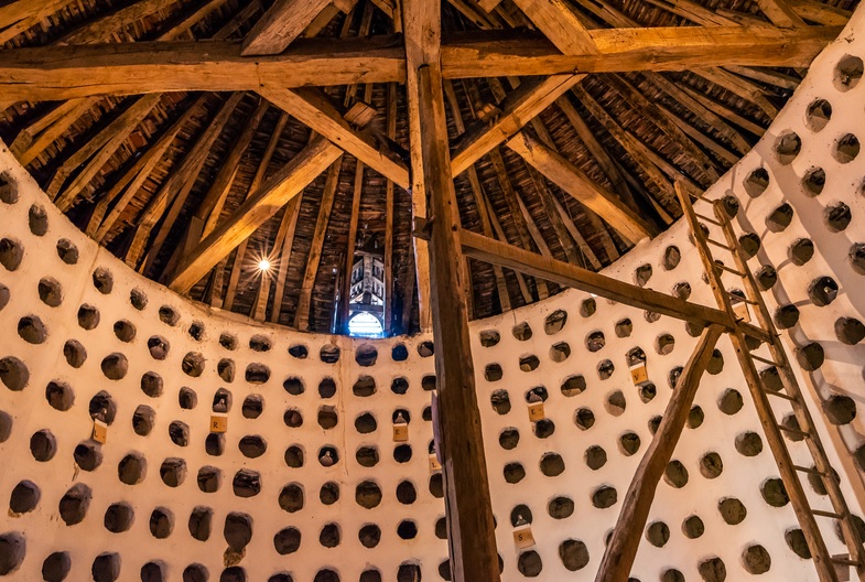 Château de Vaux en Champagne