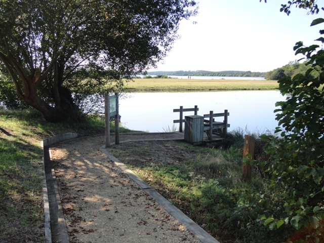 Ponton de pêche de l'étang d'Aureilhan - St Paul en Born