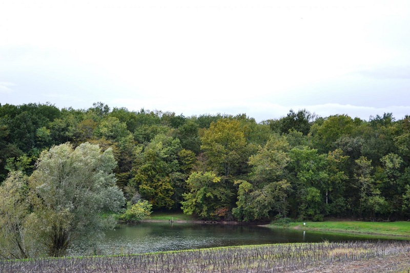 Etang de pêche Jocal