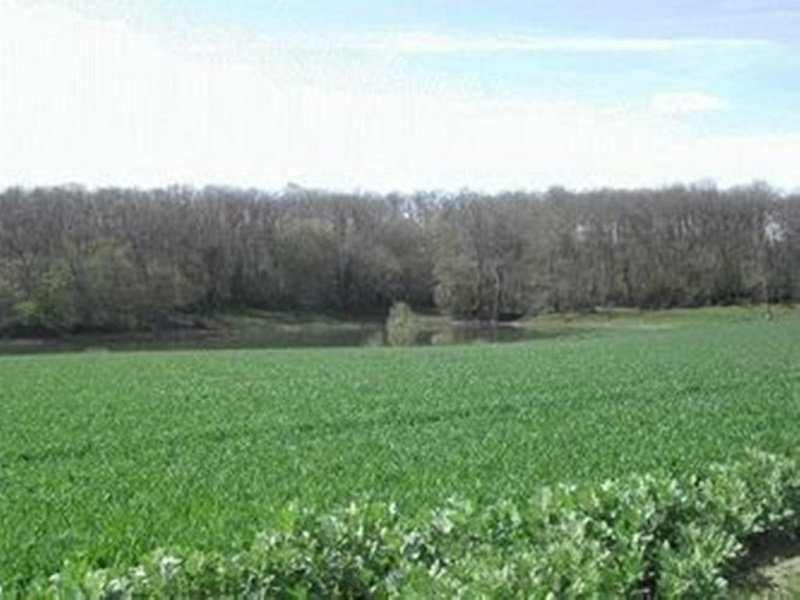 Etang de pêche Jocal