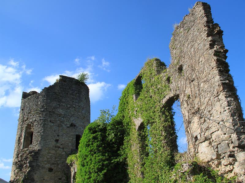 Ruines du Château de Frauenberg