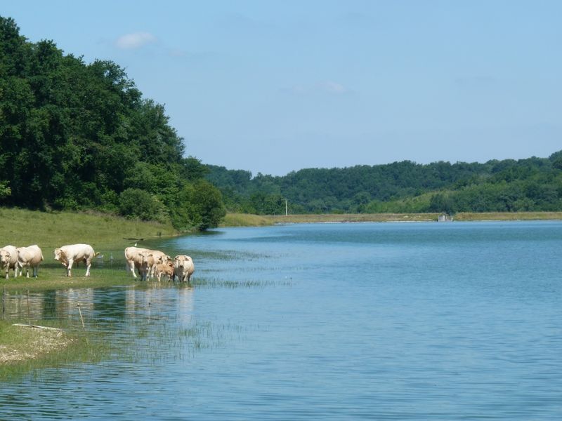 Lac de Boueilh-Boueilho-Lasque