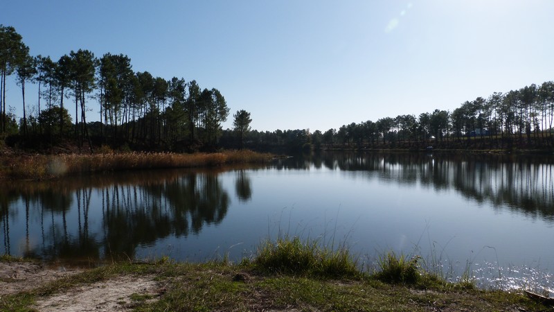 Etang de Surgenne
