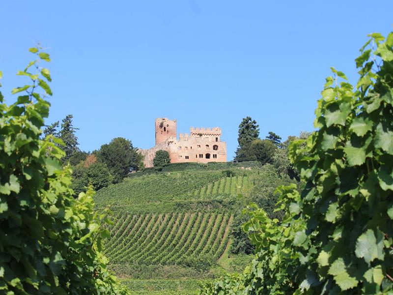 Château de Kintzheim
