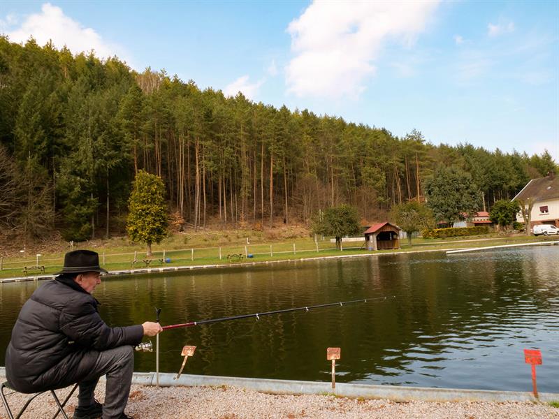 Étang de pêche werner