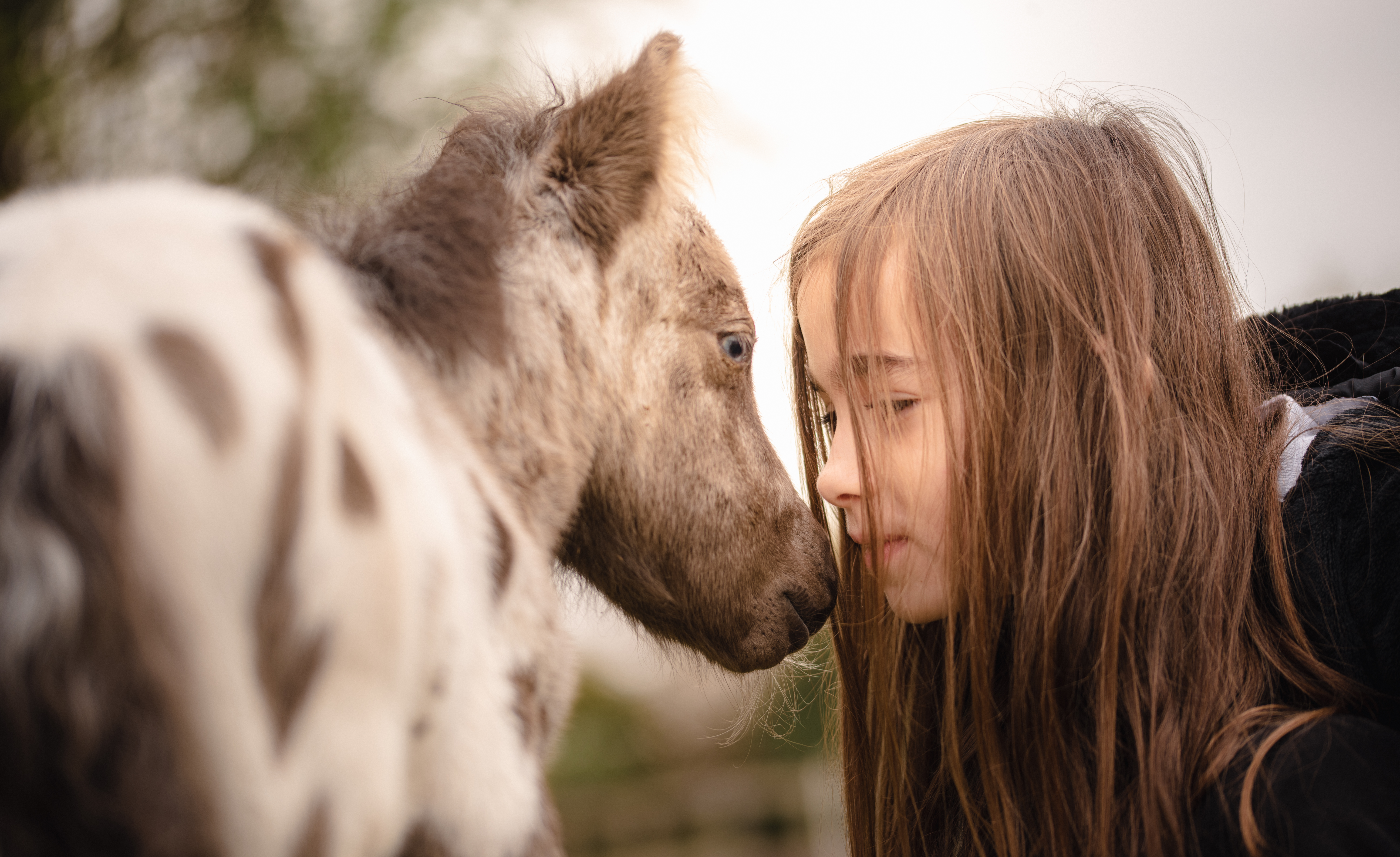Rancho Cœur des lacs