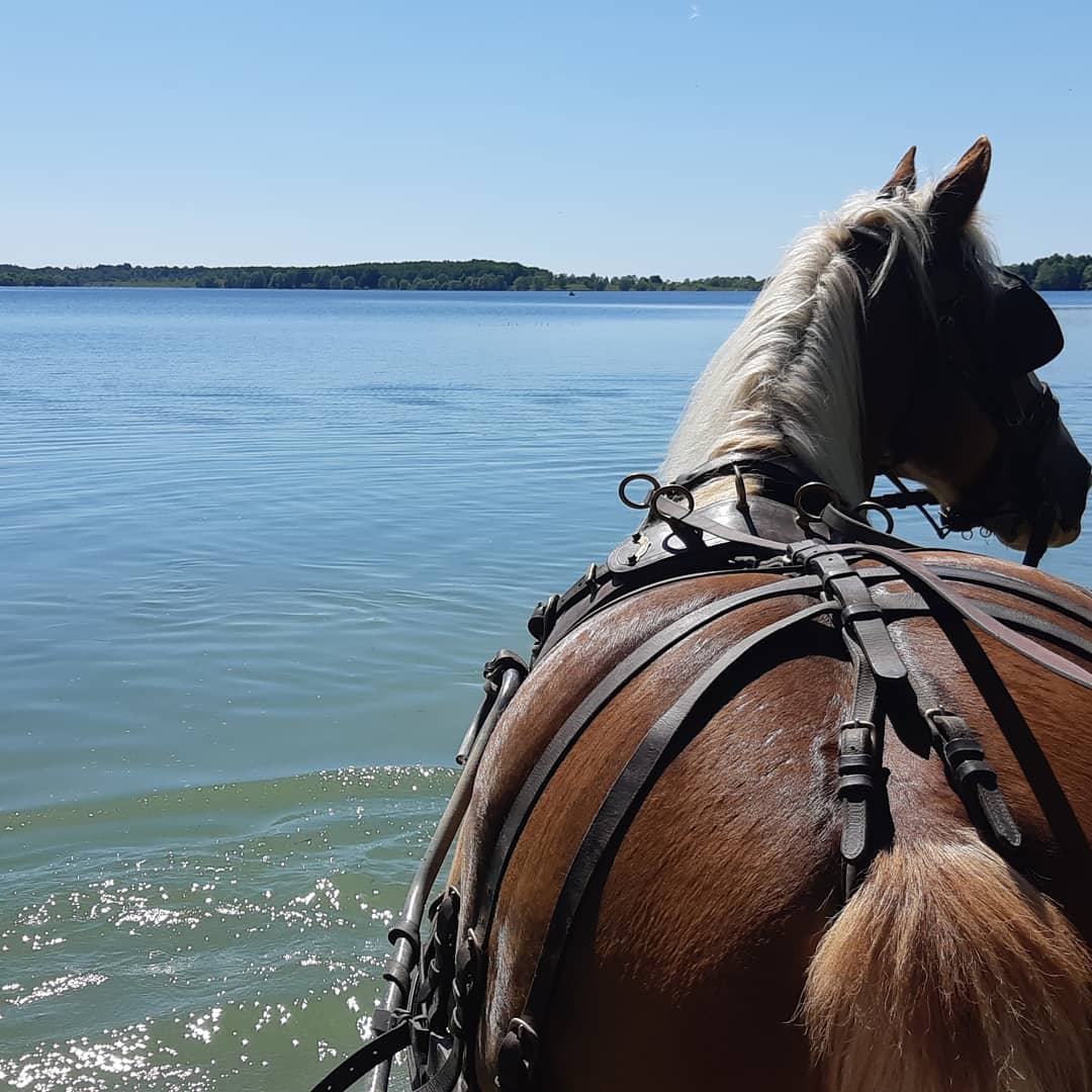 Rancho Cœur des lacs