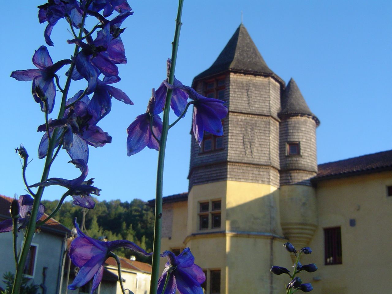 CHATEAU DE CHEVILLON