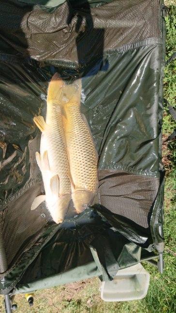 Le Domaine de La Barre - Etang de pêche