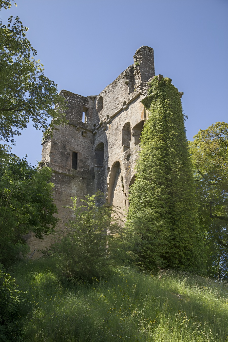 Donjon du Château Féodal