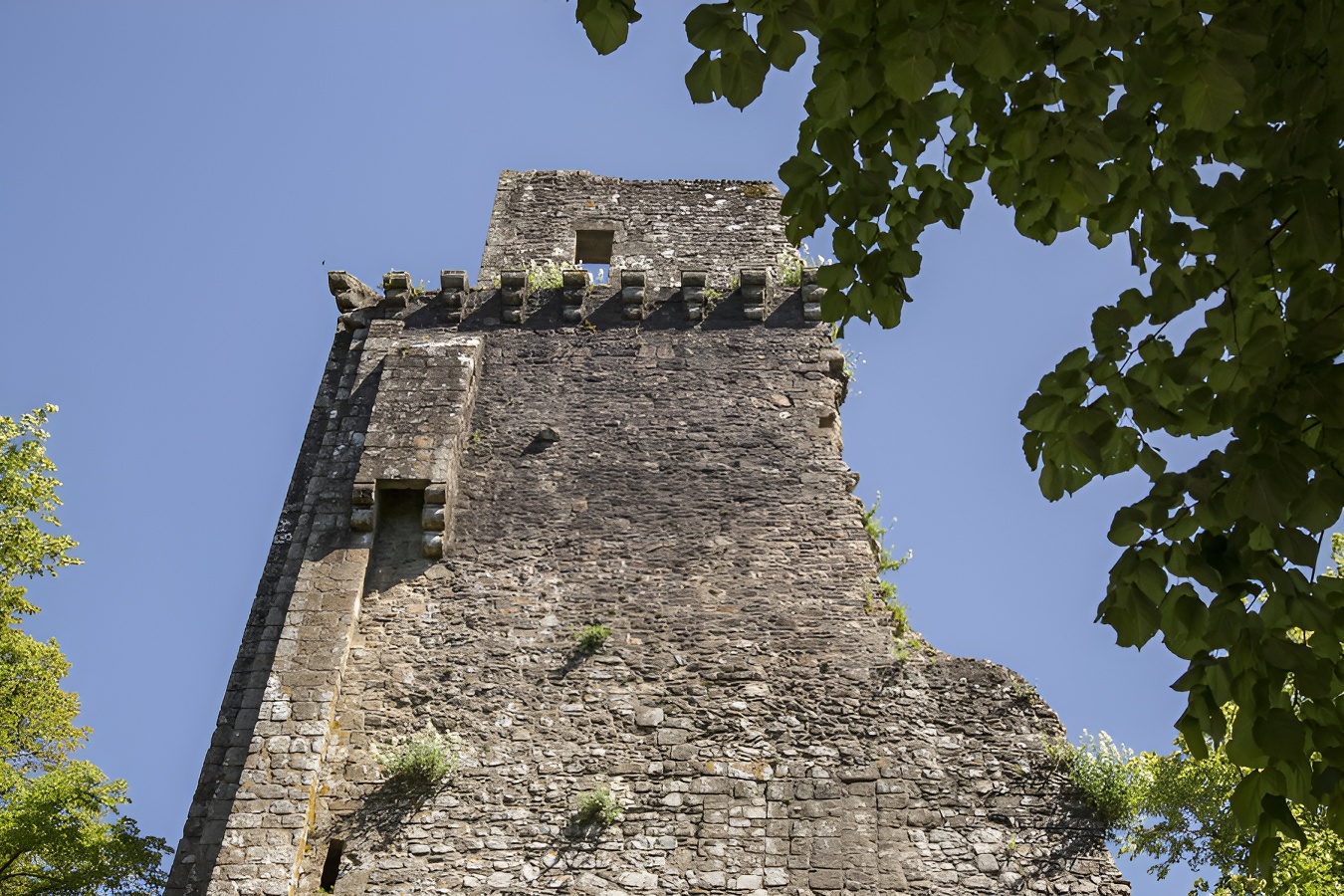 Donjon du Château Féodal