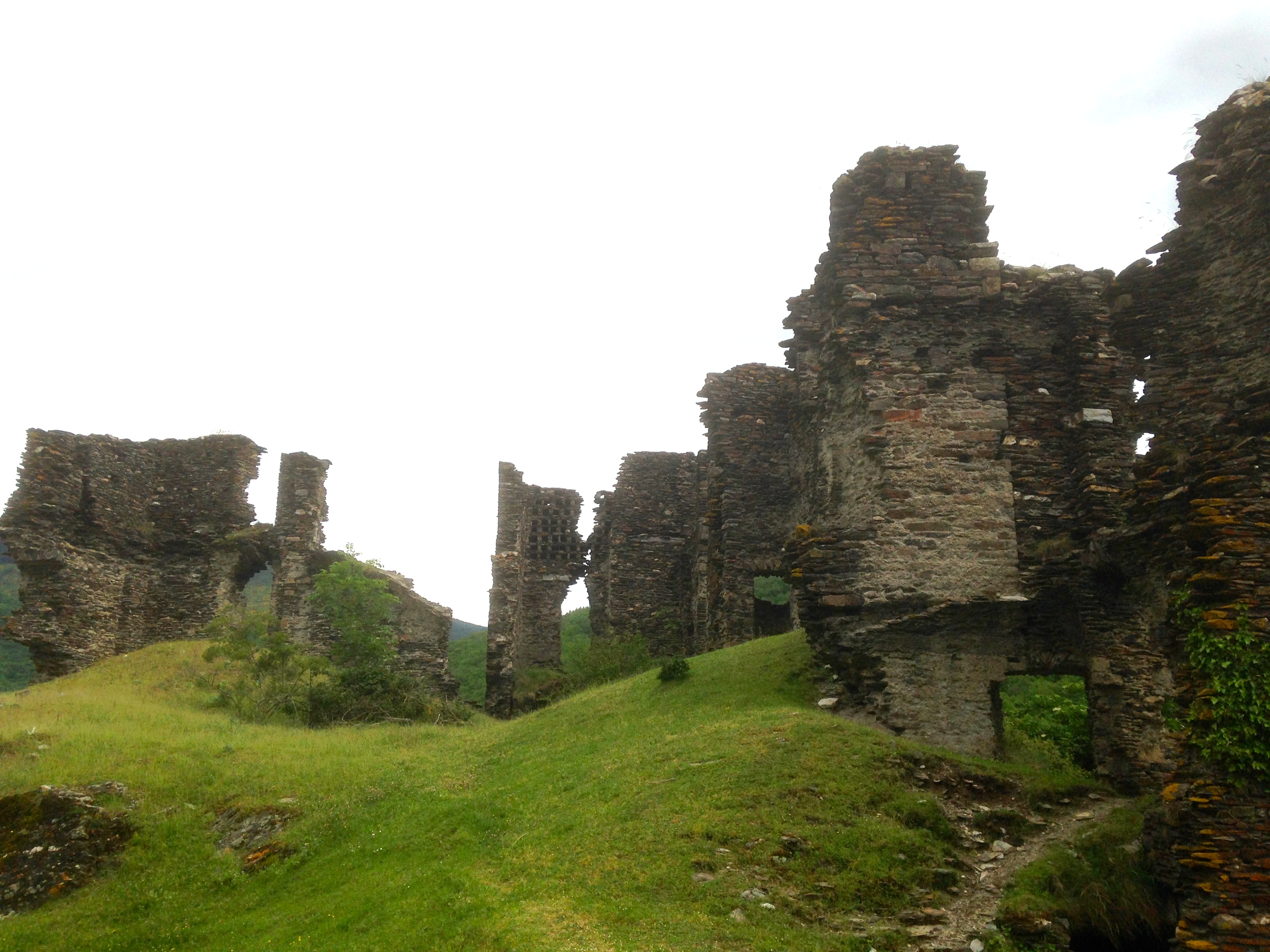CHÂTEAU DE SAINT-JULIEN-D'ARPAON