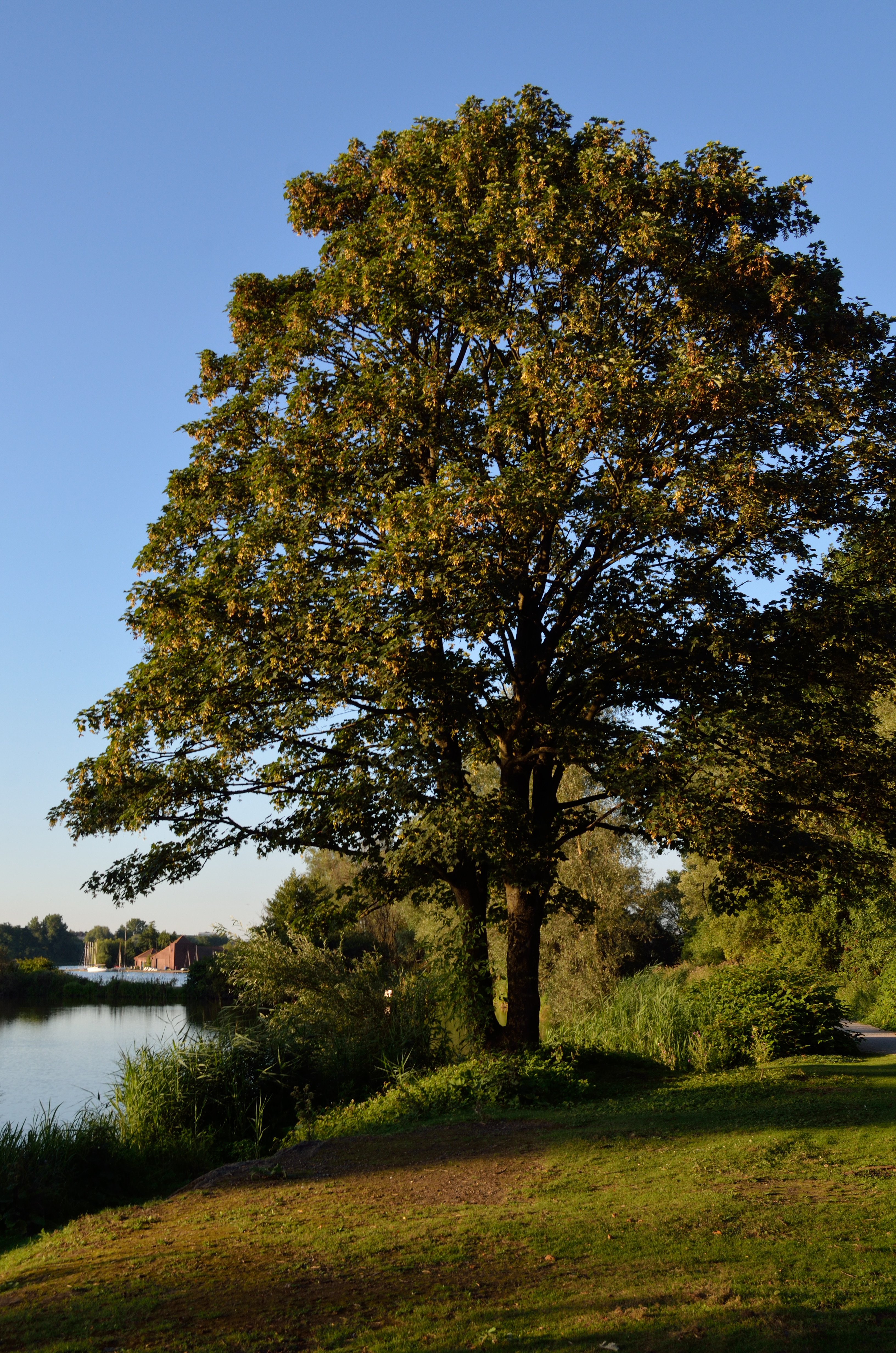 Base de loisirs de l'etang du vignoble