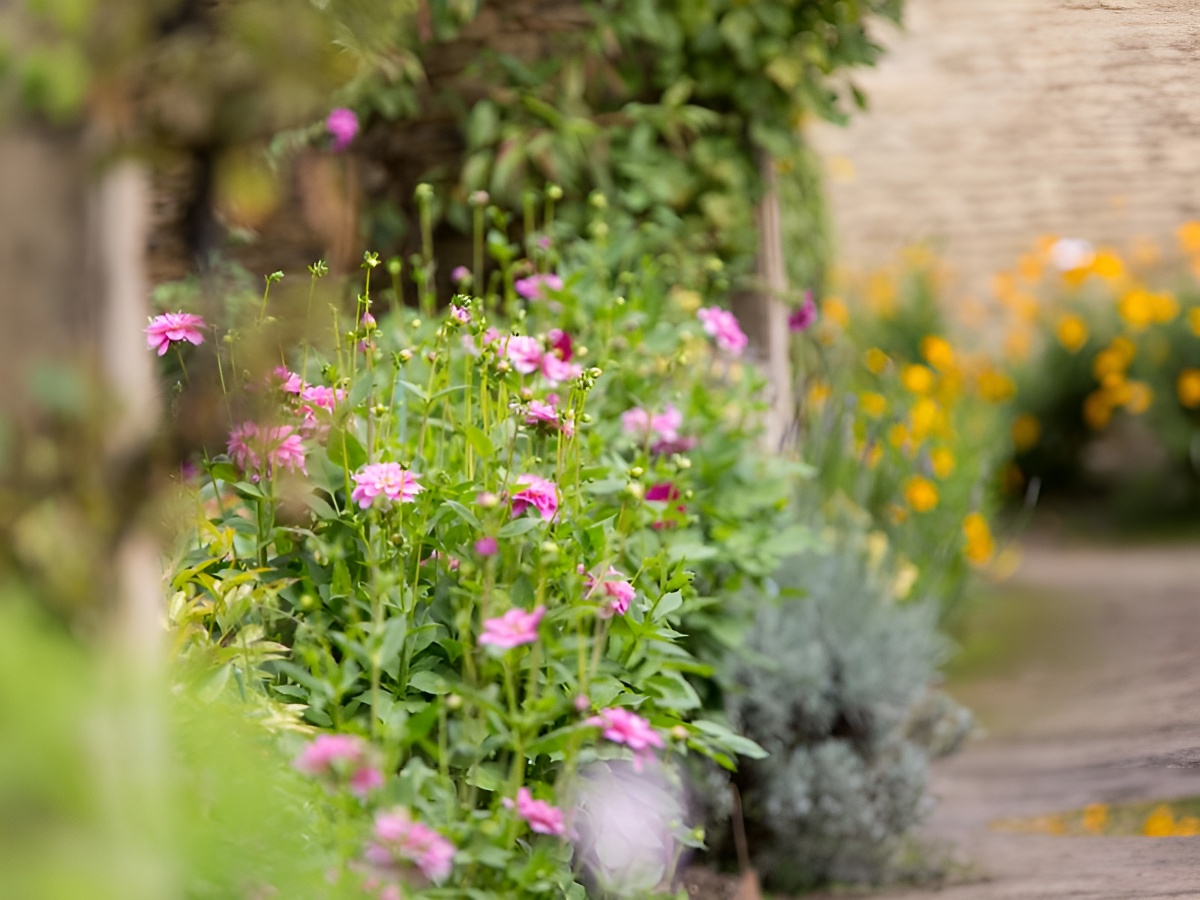 Parc et Jardins du Château de Canon