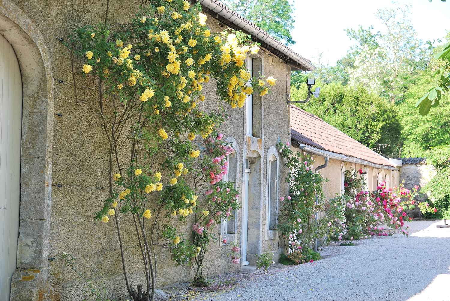 CHATEAU DE BROUTHIERES