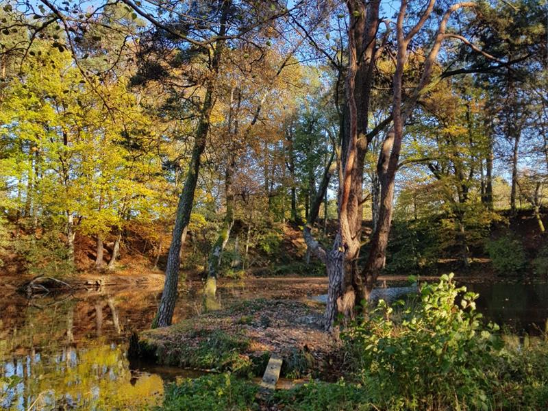 Étang de la ballastiere