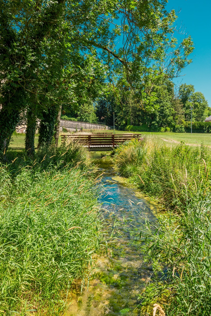 Château de Vendeuvre-sur-Barse