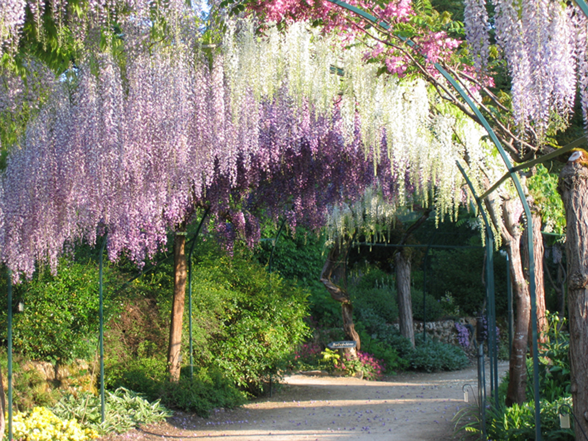Parc Floral d'Apremont-sur-Allier