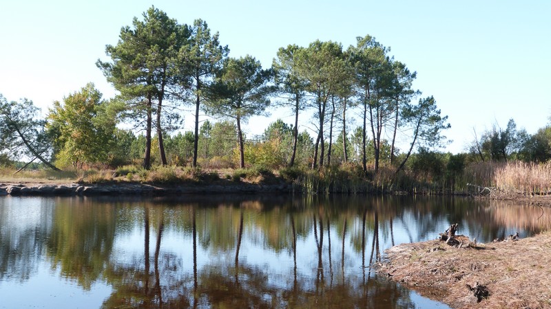 Etang de l'Estauleyre