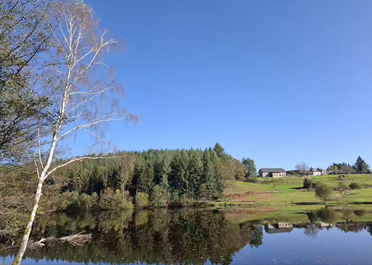 Etang du Domaine de La Romanée Sofia