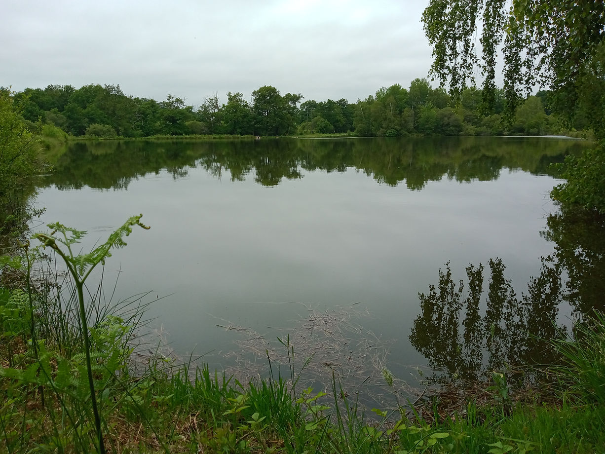 Etang de pêche de Peyrilhac