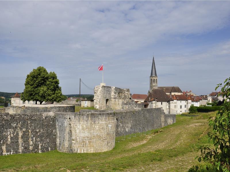 Forteresse du vieux Chatel-sur-Moselle