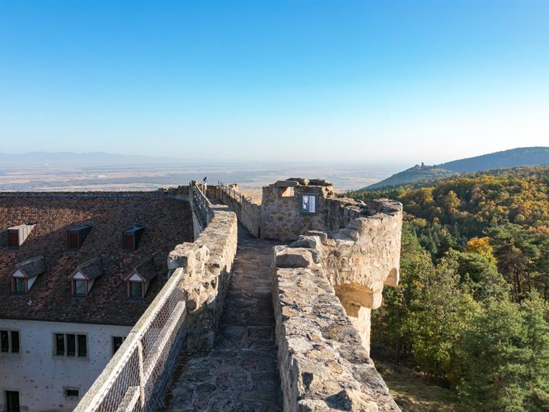 Château du Hohlandsbourg