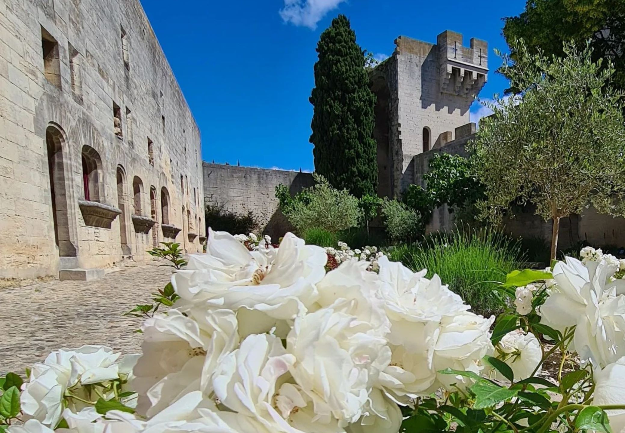 Château de Tarascon