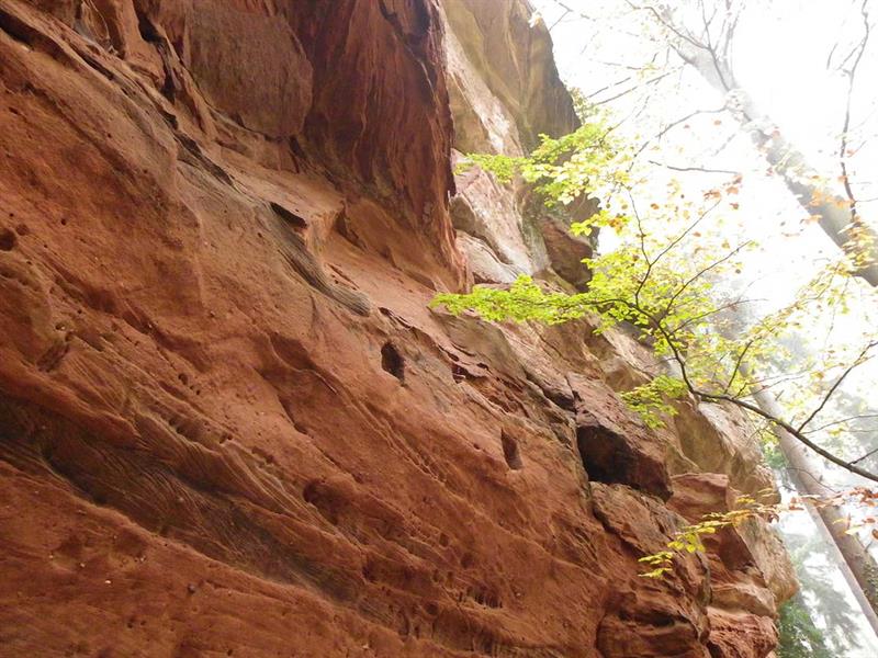 Le château du Grand Arnsbourg