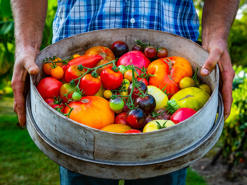 Parc et jardins de la Bourdaisiere