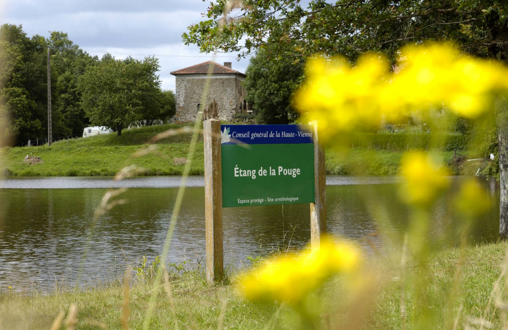 Pêche à l'étang de la Pouge