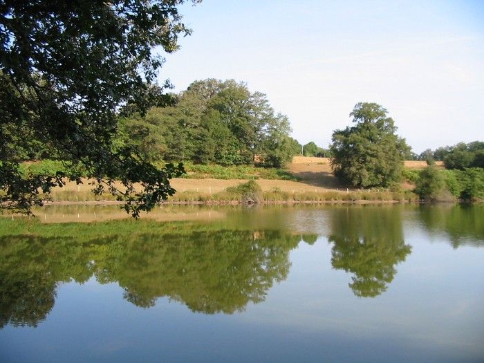 Pêche à l'étang de la Pouge