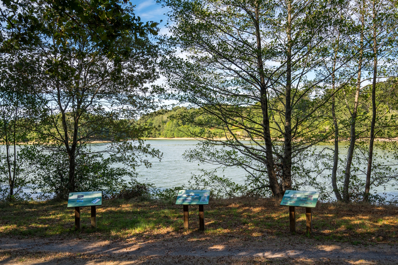 Pêche à l'étang de la Pouge