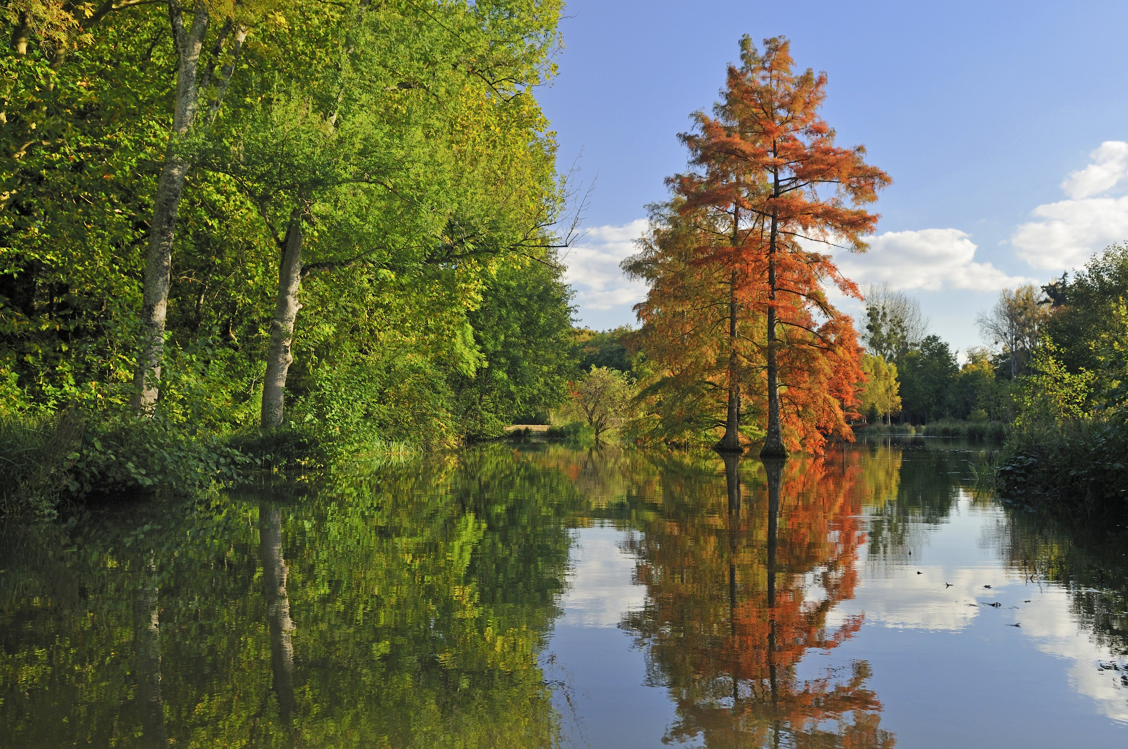 Château de Cheverny